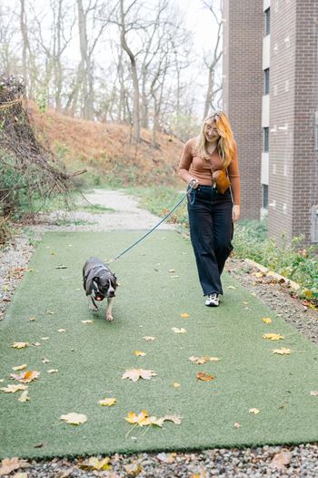 A woman walking her dog on a leash in a park at Walnut Towers at Frick Park, Pittsburgh, PA 15217