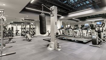 a gym with weights and cardio equipment and a punching bag at The Commonwealth Building, Pittsburgh, Pennsylvania