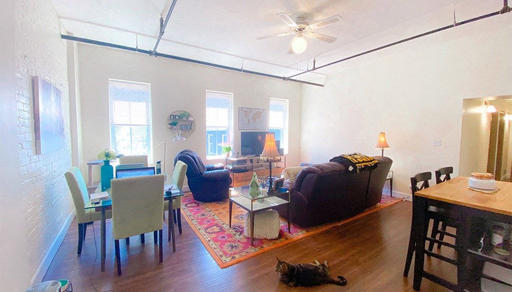 a living room with a cat laying on the floor