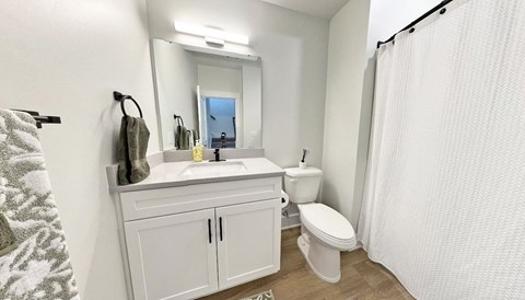 a bathroom with a sink toilet and a mirror