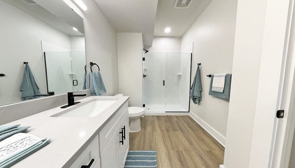 a bathroom with a sink and a shower