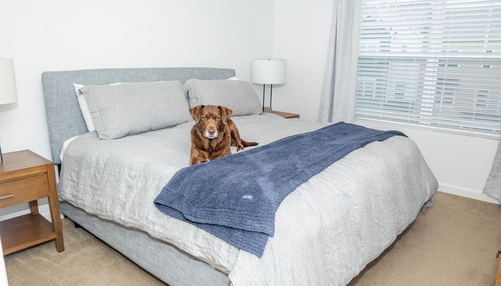 Augusta 2 Bedroom Layout