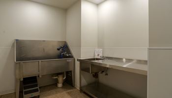 pet wash station at The Commonwealth Building, Pittsburgh, 15222