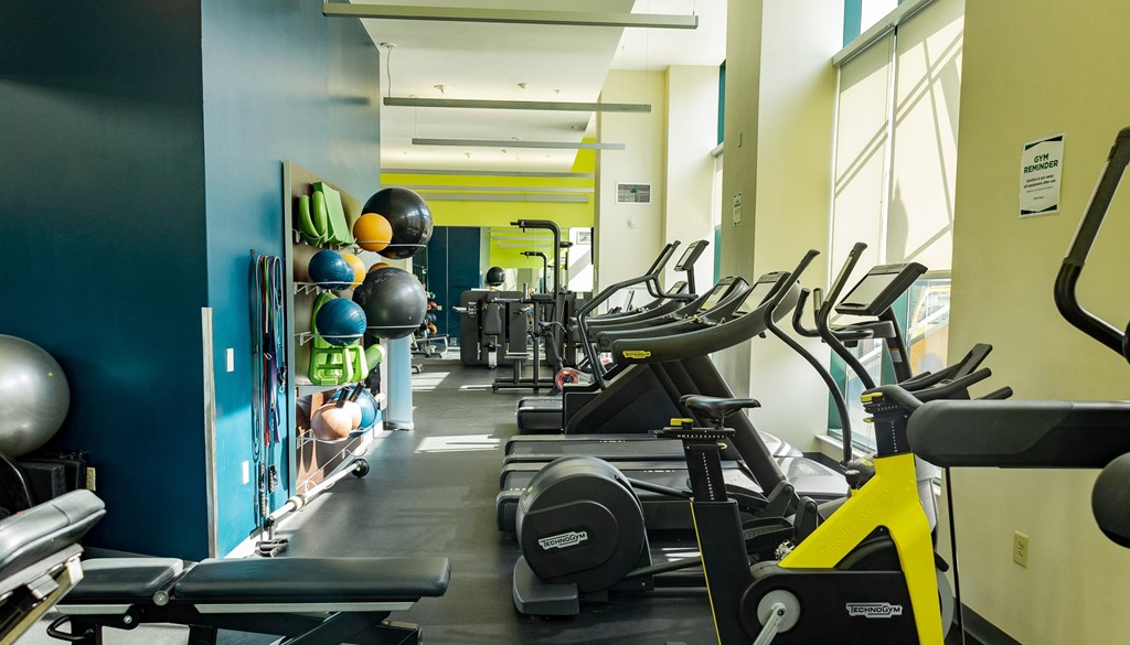 a gym with cardio equipment and weights at Walnut on Highland, Pittsburgh, PA
