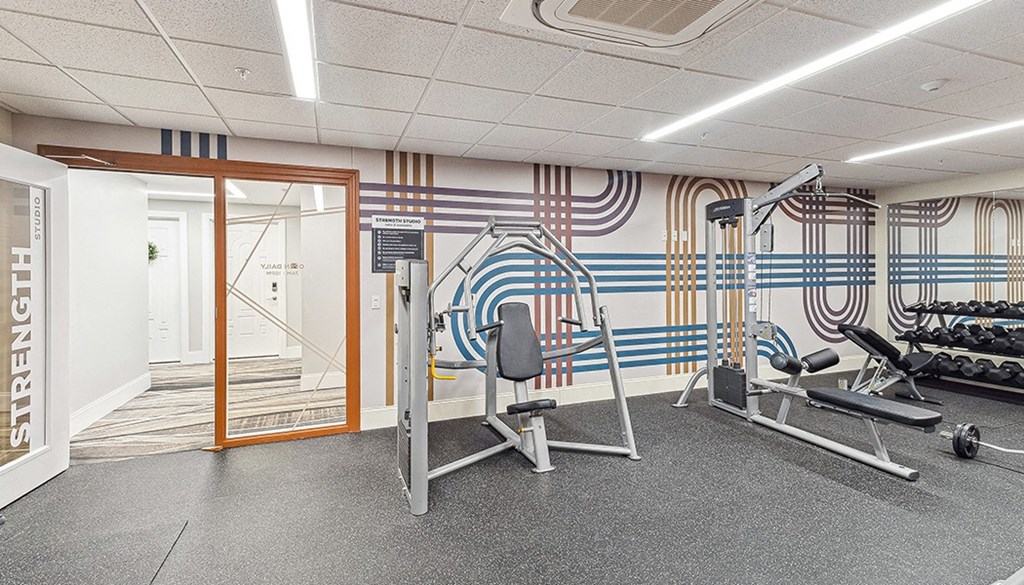 A gym with a weight bench, a rowing machine and a squat rack. at The Washington at Chatham, Pennsylvania, 15219