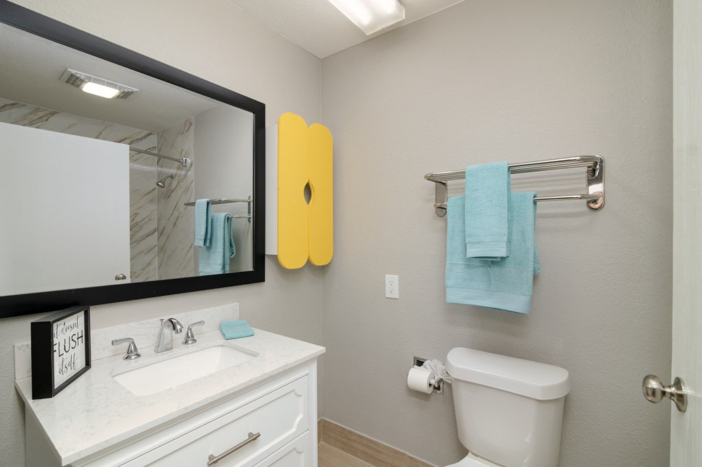 a bathroom with a white toilet and a sink and a mirror