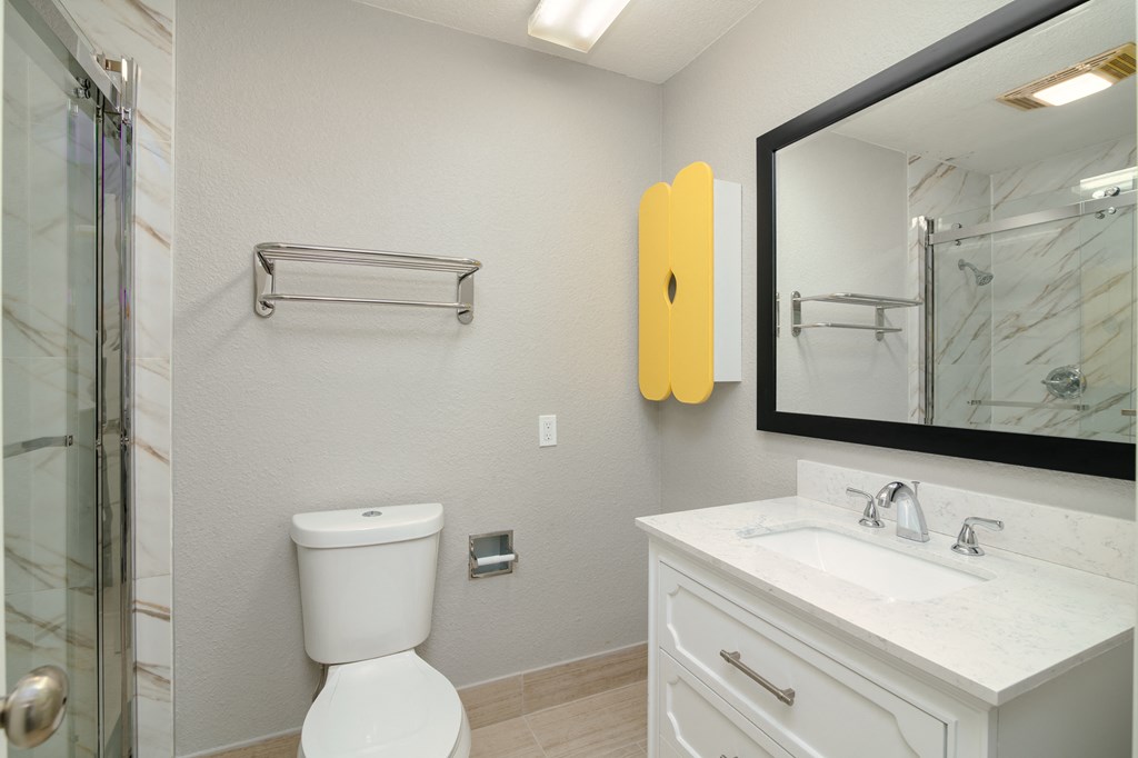 a bathroom with a toilet and a sink and a mirror