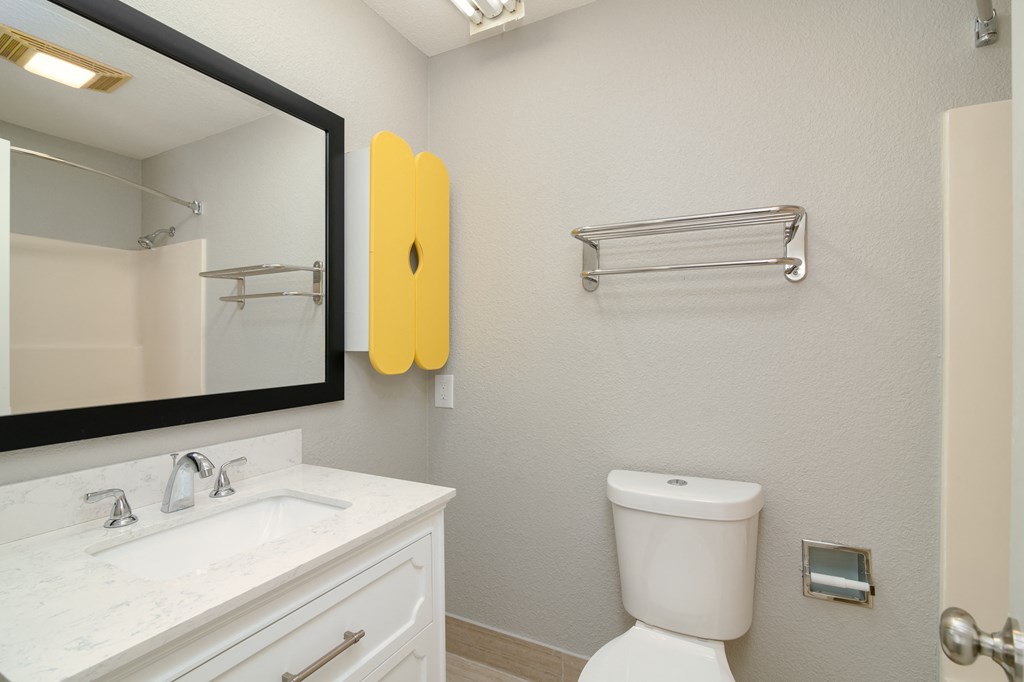 a bathroom with a toilet and a sink and a mirror