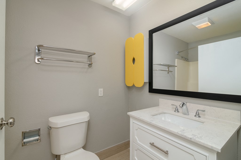 a bathroom with a toilet and a sink and a mirror