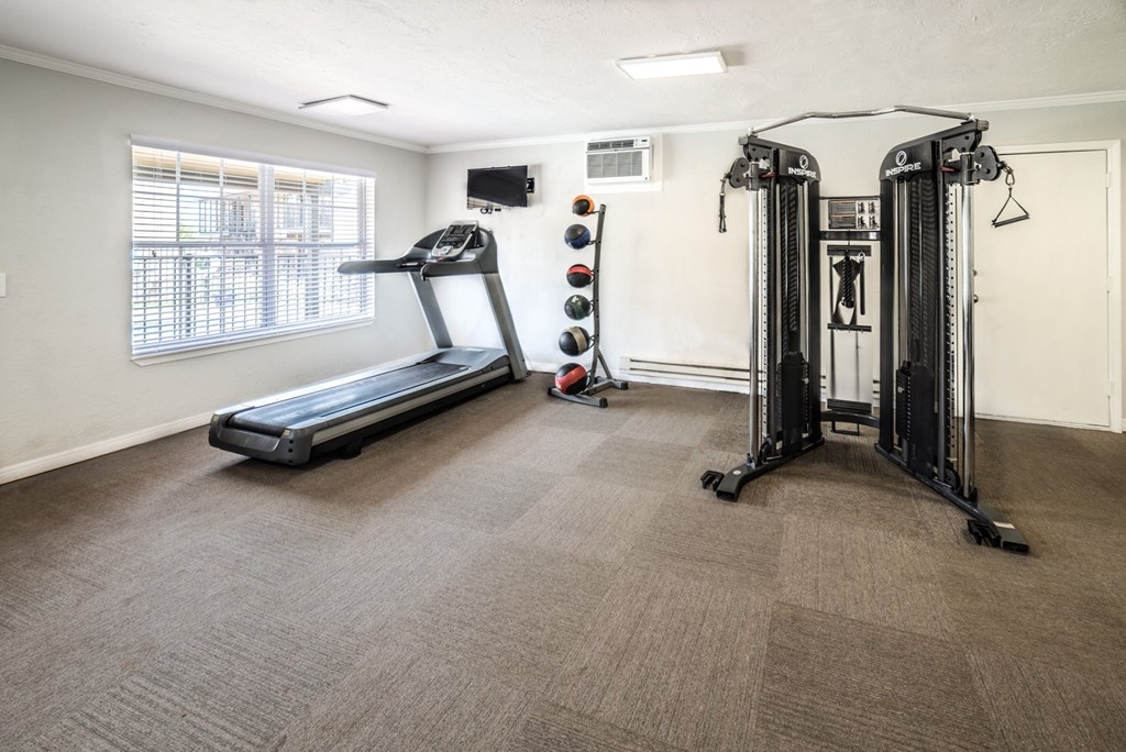 A home gym with a treadmill, a weight rack, and a squat rack.