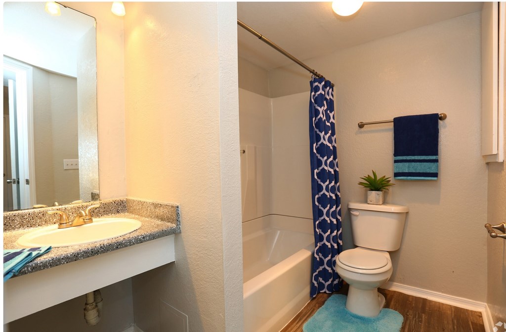 A bathroom with a white toilet, a sink with a mirror above it, and a blue shower curtain.