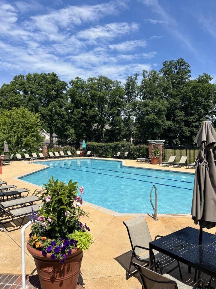 A pool area with a table and chairs and a potted plant.