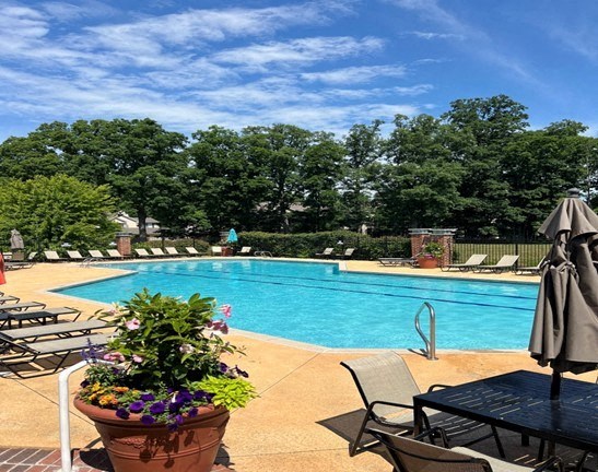 A pool surrounded by trees and chairs.