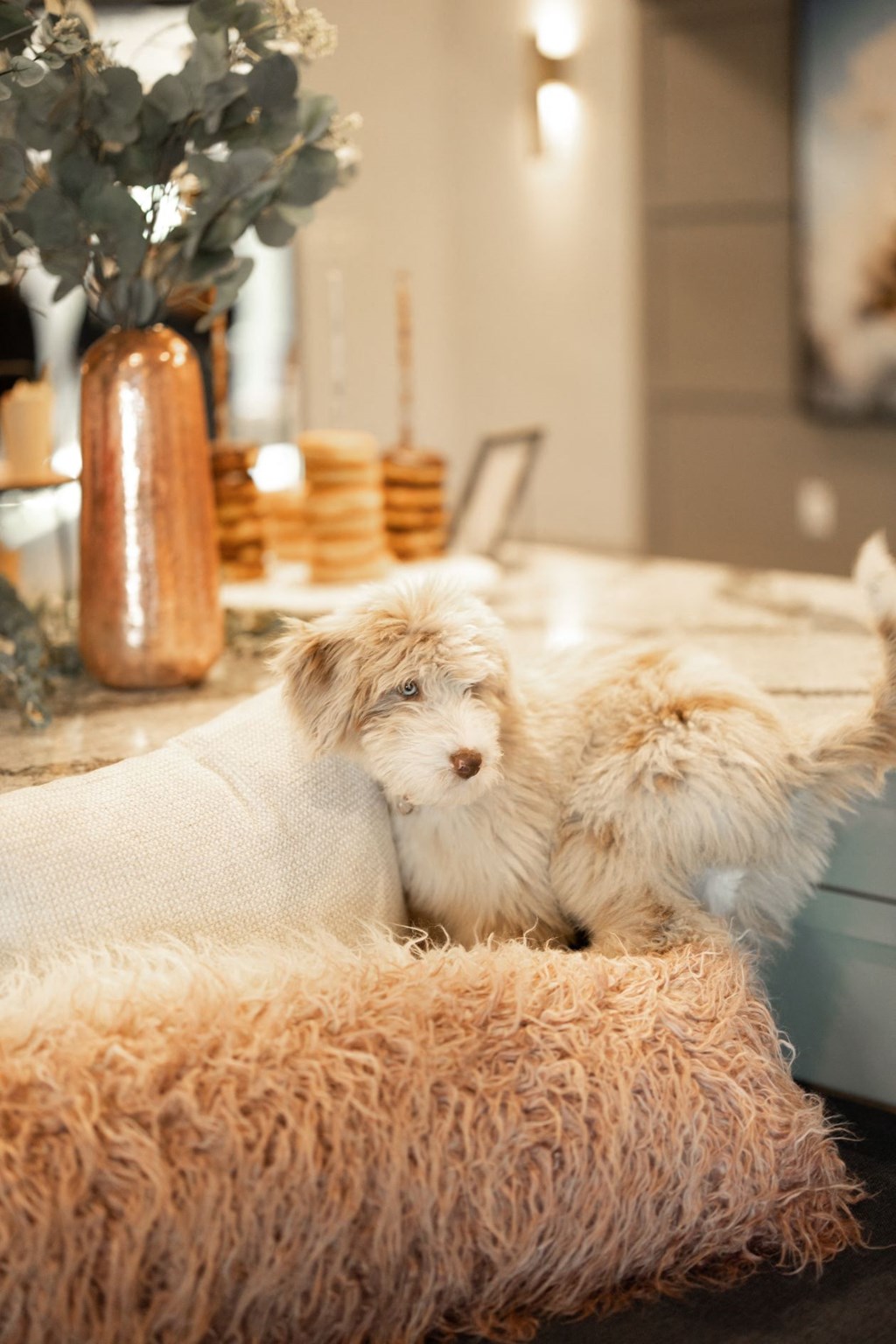 Home Decor Appliances at Alta Depot, Tennessee, 37167