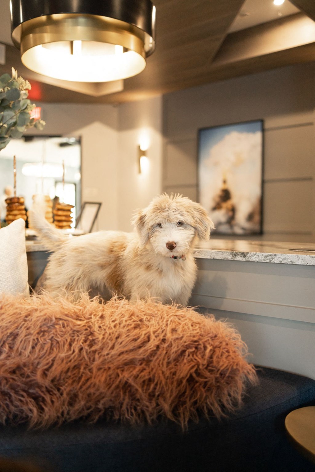 Home Decor at Alta Depot, Tennessee