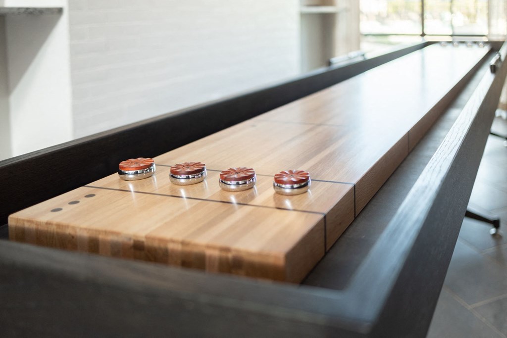 Shuffle Board at Alta Depot, Smyrna, 37167