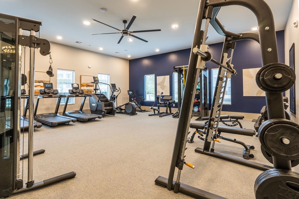 a gym with cardio equipment and weights in a home gym