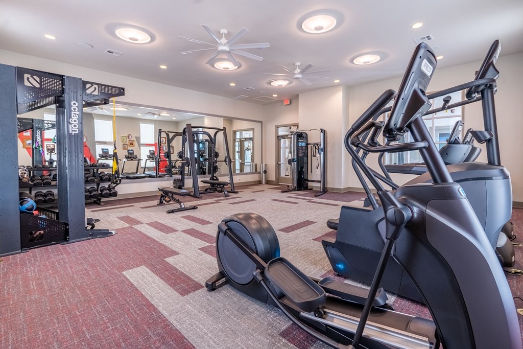 Alta Blue Goose Apartments, 8110 Blue Goose RD, Manor, TX RentCafe