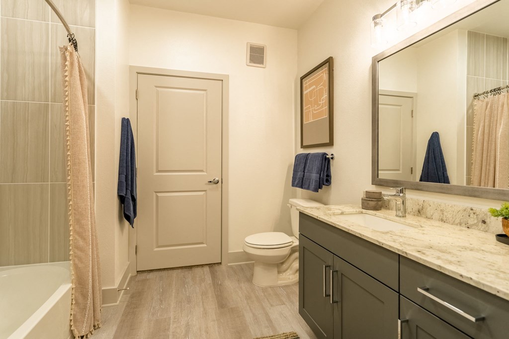 a bathroom with a shower toilet and sink and a mirror
