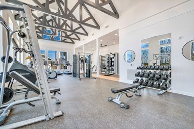 24-Hour Fitness Center With Free Weights at Alta Croft, North Carolina - Photo Gallery 4