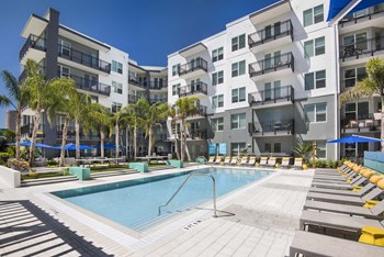 Swimming Pool And Sundeck Swimming Pool And Sundeck at Anchor Riverwalk, Tampa, FL - Photo Gallery 5