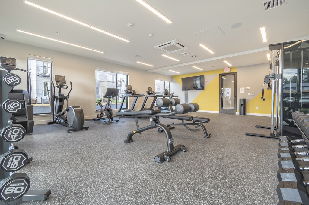 a gym with weights and cardio machines and a tv