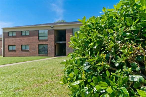 a brick building with a tree in front of it