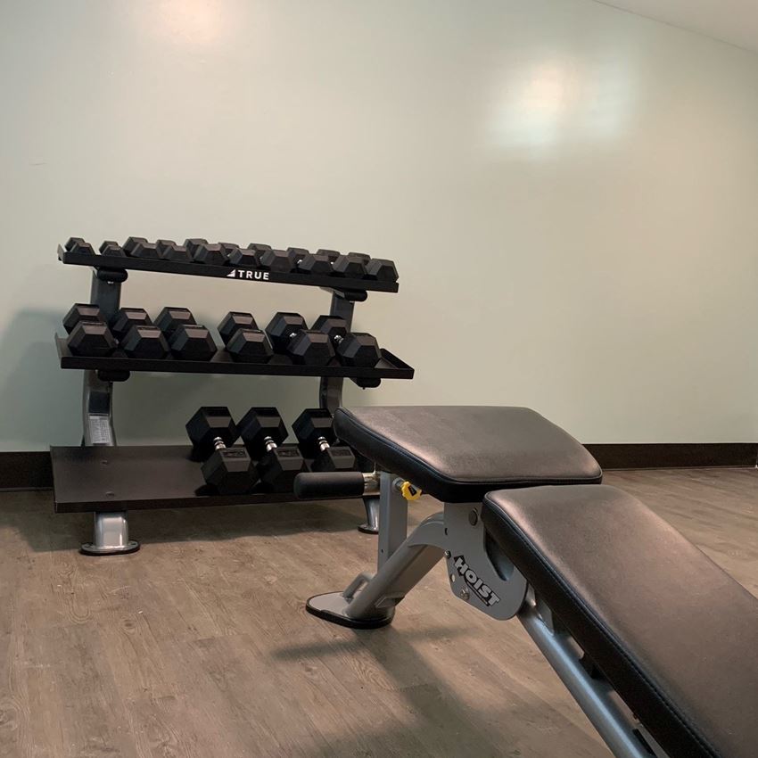 a pair of weights machines in a gym