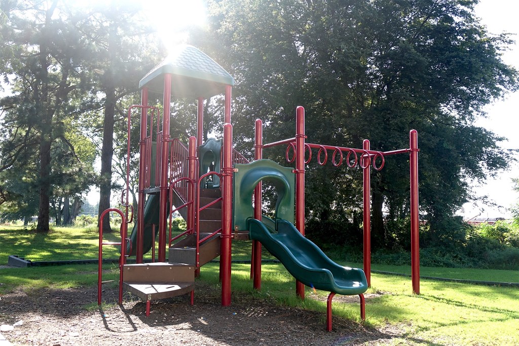 a playground with a swing set and slides in a park