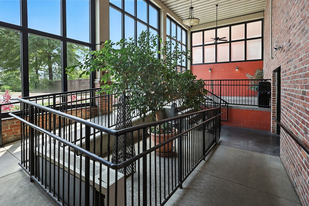 A balcony with a metal railing and a potted plant.