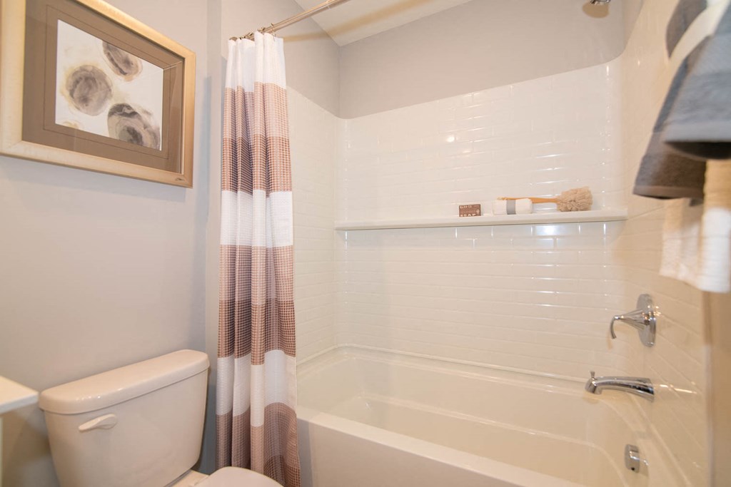 a display of star shaped cups in a glass case at Jackson Run Townhomes, Indiana