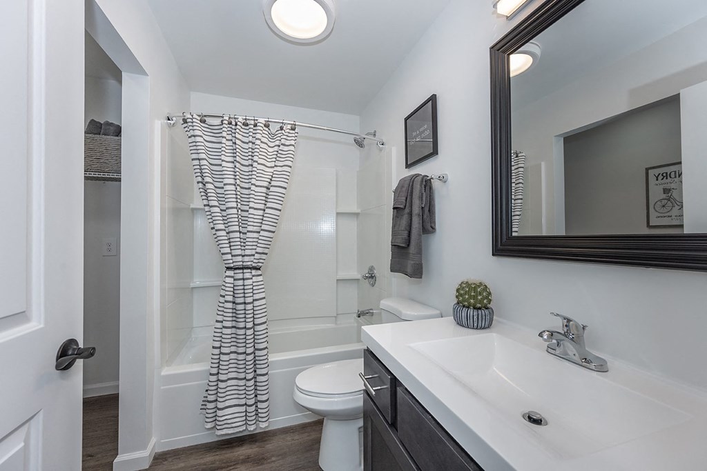 a bathroom with a shower and a sink and a toilet