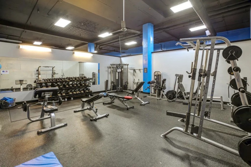 a gym with weights and other equipment in a building