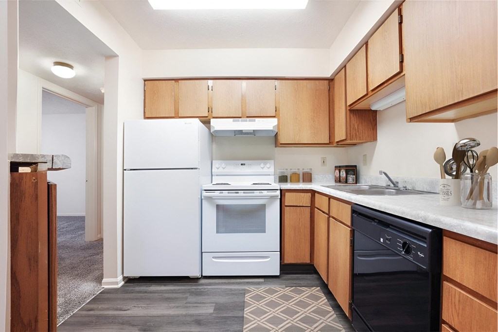 A kitchen with a white fridge and black dishwasher.