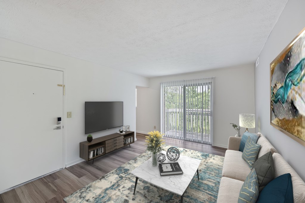 A living room with a couch, a coffee table, and a television.