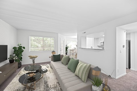 A living room with a grey sofa and a glass coffee table.