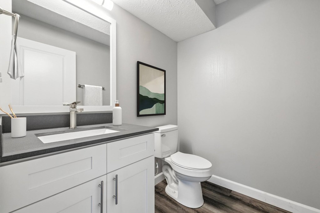 A bathroom with a toilet, sink, and mirror.