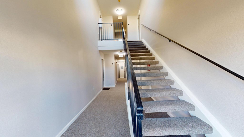 A staircase with a carpeted runner and a black handrail.