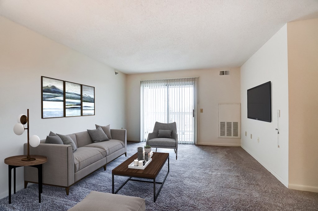 a living room with a couch and a coffee table and a television