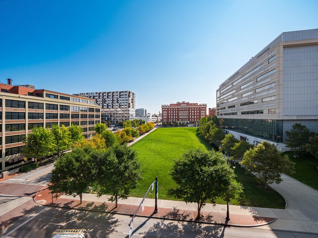 A cityscape with a green park in the foreground and buildings in the background.