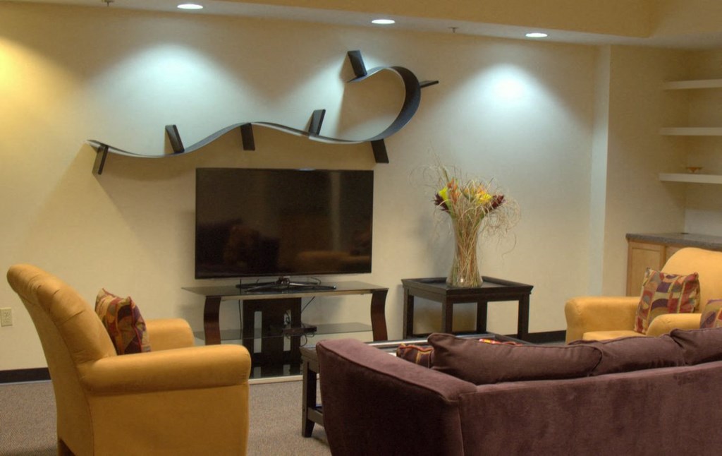 a living room with couches and a television