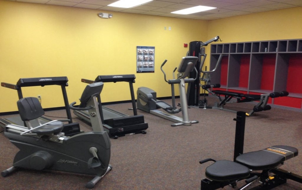 the gym has plenty of equipment for everyone to use