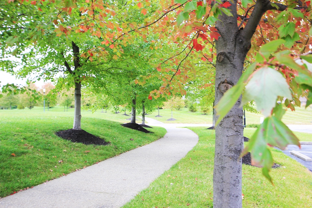 Bishop's Gate Apartments Cincinnati