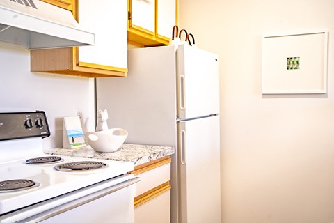 a kitchen with a stove and a refrigerator