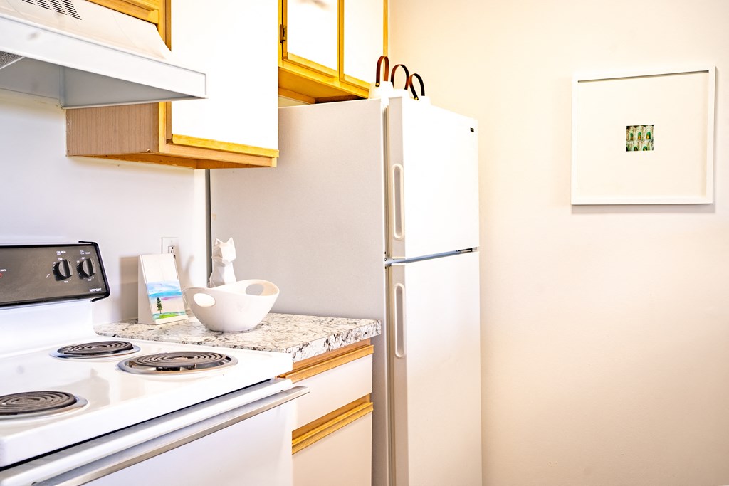 a kitchen with a stove and a refrigerator