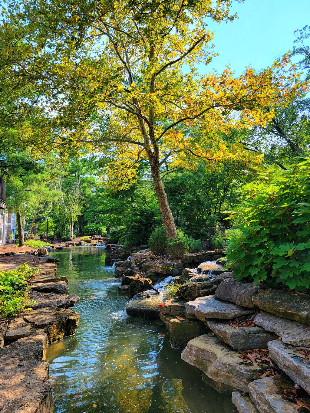 a stream running through a park with rocks and trees at Harpers Point Apartments, Ohio, 45249