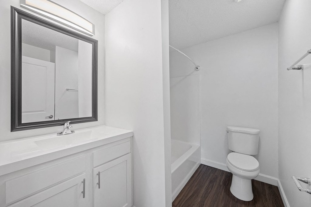 a bathroom with a toilet and a sink and a mirror