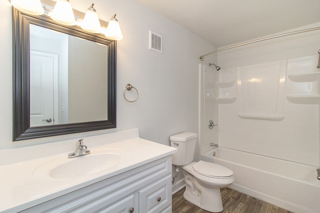 a bathroom with a toilet and a sink and a mirror