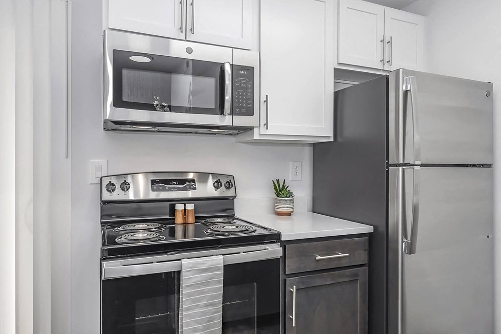 2 bedroom townhouse - stainless appliances