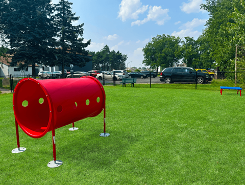 a red mailbox on a grassy field